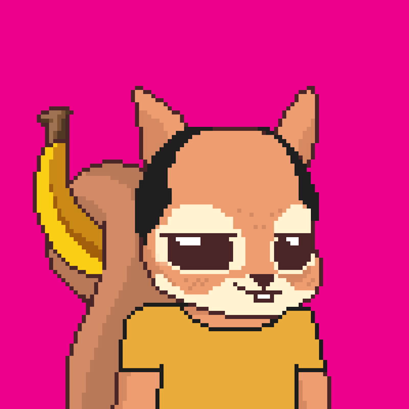 Pixel Squirrels #9853